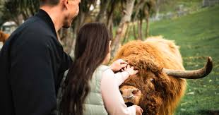 ANDASIBE WITH THE SOUTH TO EXPERIENCE MADAGASCAR FROM EVERY ANGLE - Image 2